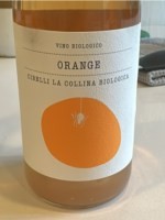 Altre Terre - Vinicia Trebbiano Orange NV (750ml)