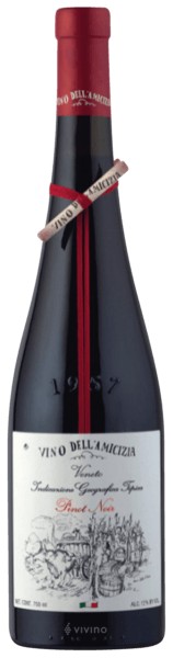 Italo Cescon - Pinot Noir Vino dell'Amicizia 2021 (750ml)